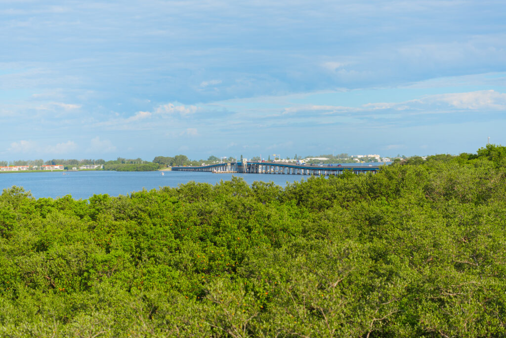 View of Anna Maria Island from an overlook tower on Perico Key